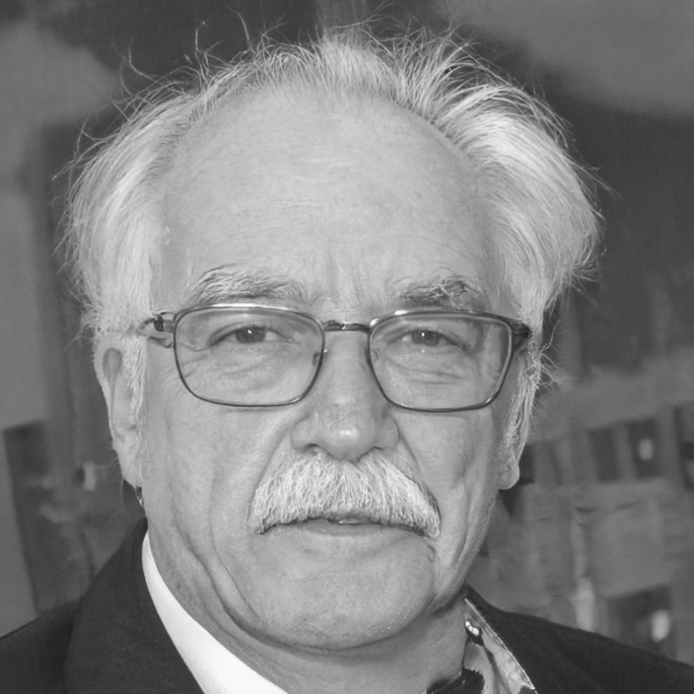 Finance professional providing insights on budget presentations